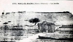 BIVEN Georges - 060- Moul El Bacha